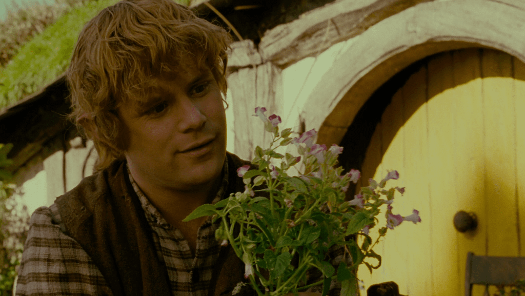 Sam the gardener, LOTR